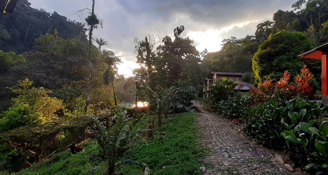 Playaselva Reserva Biologica Villa Archidona Eksteriør billede