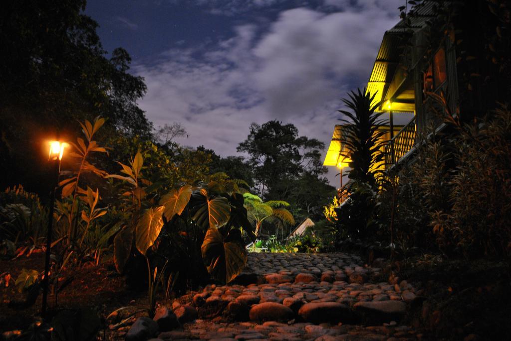 Playaselva Reserva Biologica Villa Archidona Eksteriør billede