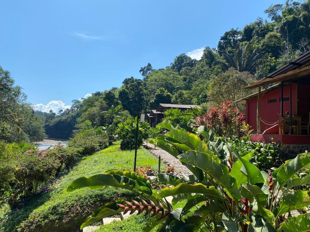 Playaselva Reserva Biologica Villa Archidona Eksteriør billede