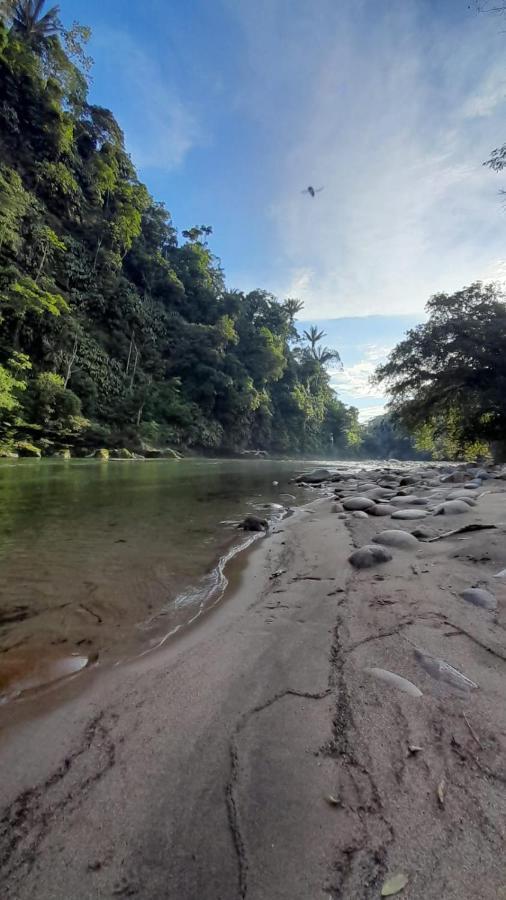 Playaselva Reserva Biologica Villa Archidona Eksteriør billede