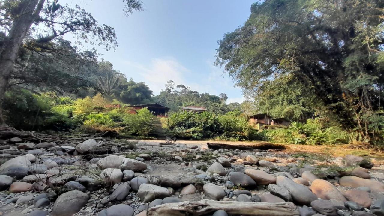 Playaselva Reserva Biologica Villa Archidona Eksteriør billede