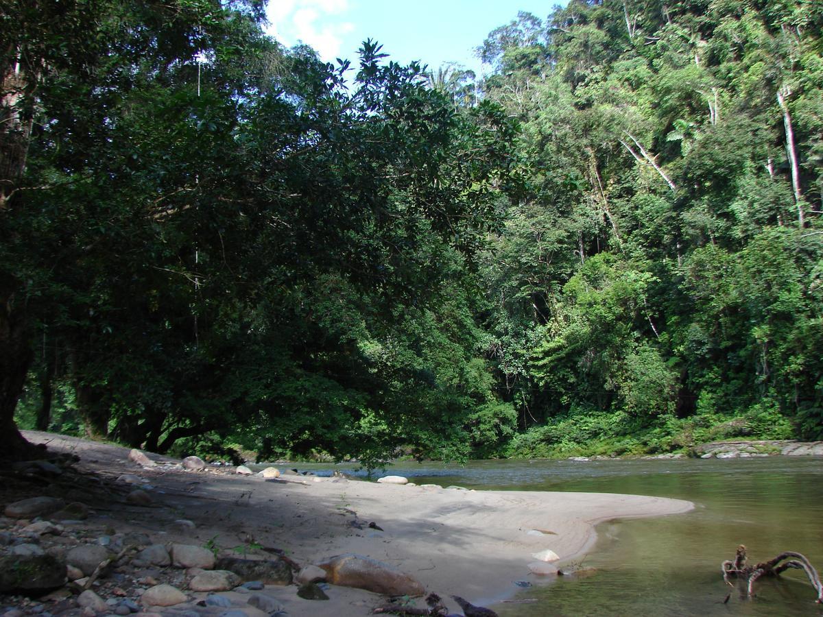 Playaselva Reserva Biologica Villa Archidona Eksteriør billede