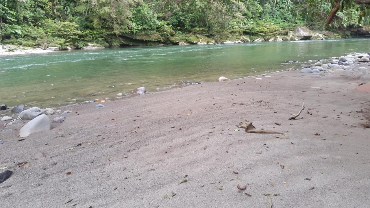 Playaselva Reserva Biologica Archidona Eksteriør billede
