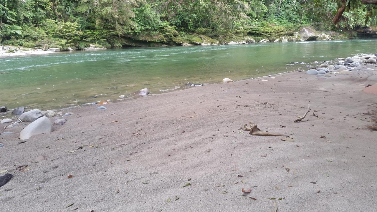 Playaselva Reserva Biologica Villa Archidona Eksteriør billede